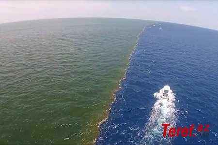 Aralıq dənizinin fantastik ehtiyatları uğrunda mübarizə