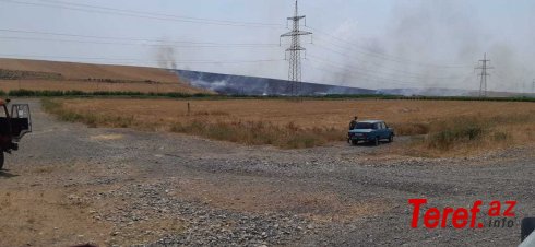 Göyçayın 3 kəndində 100 hektara yaxın otlaq və taxıl sahələri yanır