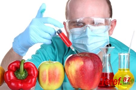 GMO məhsullar süfrələrimizdə: yeyək, yeməyək?