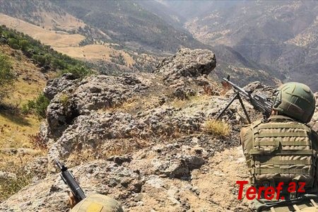Türkiyə ordusu "Pəncə" əməliyyatı çərçivəsində 67 terrorçunu məhv edib
