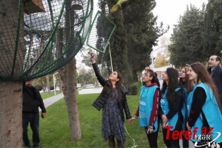 Leyla Əliyevanın iştirakı ilə Bakının Atatürk prospektindəki parkda 10 tutuquşu buraxılıb - FOTO