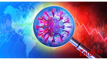 ﻿ Alimlərimiz koronavirusun səbəblərini TAPIB - AÇIQLAMA
