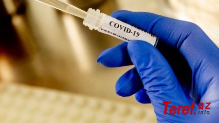Koronavirus testi ölkəyə neçəyə gətirilir? - TƏBİB sualları cavabsız qoyur