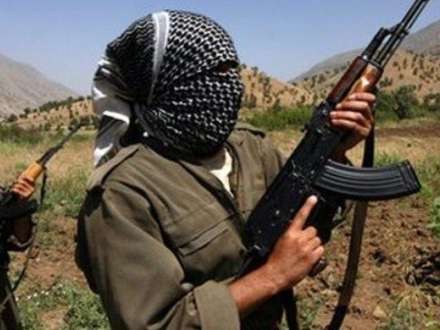 PKK Almaniyanın terror siyahısında yer alır - Açıqlama
