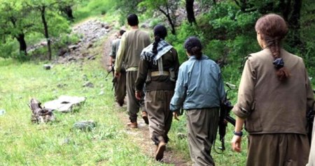 PKK-nın yüksək vəzifəli terrorçusu öldürüldü