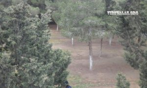 Nizami rayonunda Suraxanı RİH- i  şam meşəliyində qanunsuz deyib sökdürdüyü evlərin yerində villaların tikintisinə start verib