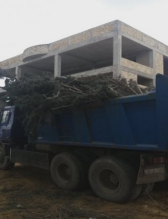 Avtomobil Yolları Dövlət Agentliyi Ramanıda ağacları kəsdi- FOTOLAR