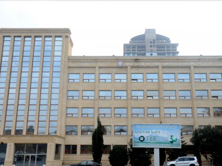 Gədəbəy meşələrini “işğal” edən “Boss Həmid” kimdir?