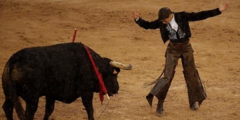 Qadın matadorun "ölüm rəqsi": ilk dəfə buğa qarşısına çıxdı -FOTOLAR