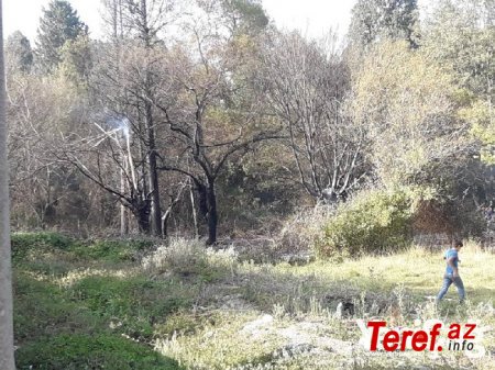 Etibar Pirverdiyevə məxsus olduğu deyilən park yandı və ya yandırıldı - FOTO