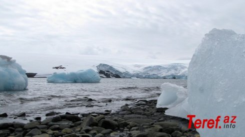 Arktikada buzlar sürətlə əriyir
