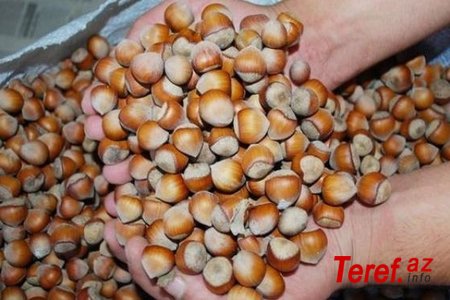 Fındıq bazarında rəqabət şiddətlənir