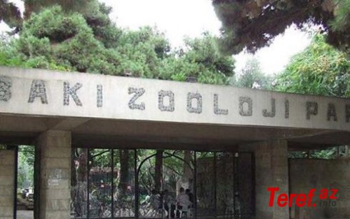 Zoopark: "AQTA-nın fəaliyyətindən sonra biz pulsuz ət almırıq"