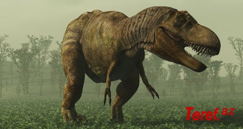 Şok tapıntı: Yeni dinozavr növü kəşf olundu – Boyu 3 metrə yaxındır