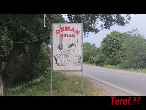 Xudatda özbaşınalığın əcaib təzahürü -  "Azərişığın" əməkdaşları restonda hesabı ödəmək tələbinə qarşı, işığını kəsiblər VİDEO