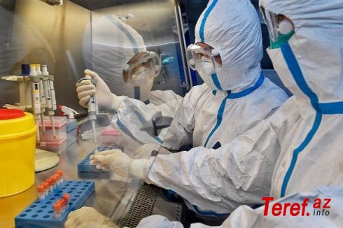 ŞAD XƏBƏR: Koronavirusa qarşı hazırlanan peyvənd nəticə verdi