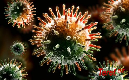 Kaliforniyada virusun naməlum mutasiyası aşkarlandı