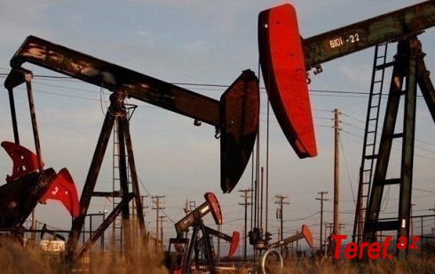 OPEC ölkələri neft hasilatını artırıb