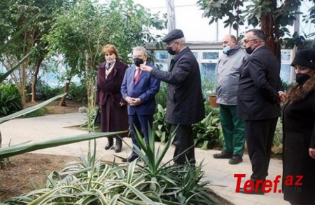 Ramiz Mehdiyev ələ keçirdiyi Nəbatat bağı ilə yerindəcə tanış oldu —