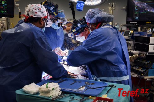 Həkim transplantasiya etdiyi qaraciyərləri öz imzası ilə “damğaladı” - FOTO