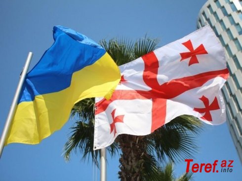 “Gürcüstan və Ukrayna neytral olmalıdır” - BMT TŞ-a müraciət