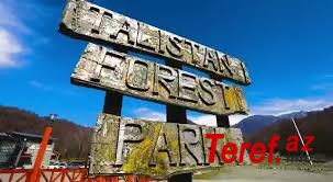 "Talıstan Forest Park"da rəsmi quldurluq -