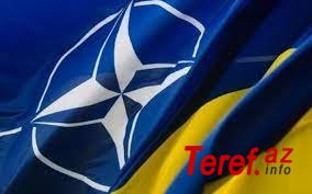 NATO Ukrayna silahlı qüvvələrinin modernləşdirilməsinə razılıq verib
