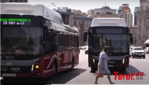 Adı var, özü yox: Avtobusların İNTERNET ŞOUSU