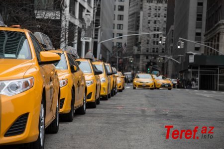 Eyni prinsiplə işləyən taksi şirkətləri niyə ÇOXALIR? – Bir yandan da YANGO çıxdı