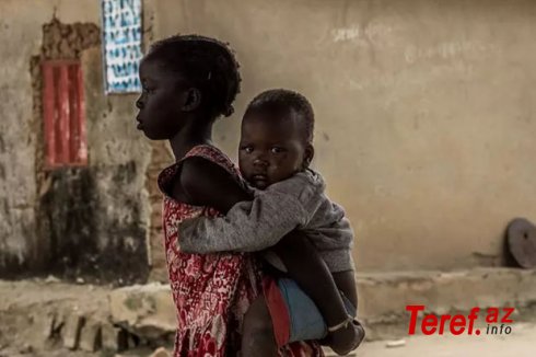 Nigeriyada “Lassa” qızdırması epidemiyası: