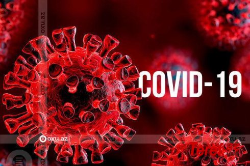 Koronavirusun “Serber” ştammı: