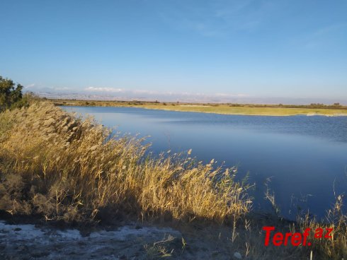 Ardını oxu...