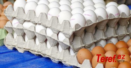 Yumurtanın genetik tərkibi ilə oynanılır: -