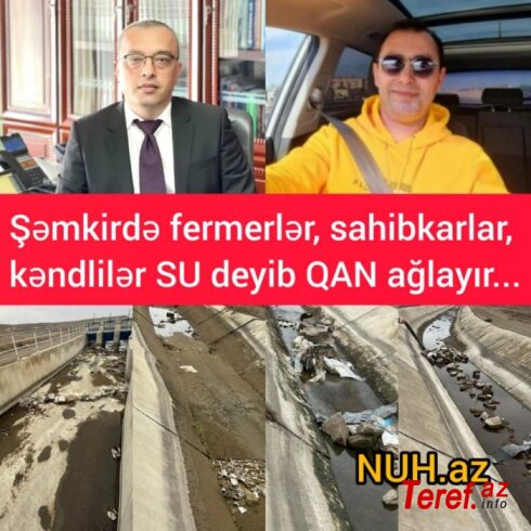 Ardını oxu...