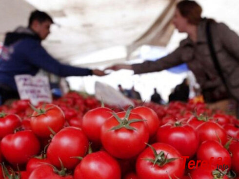 Şimaldakı müharibə! –