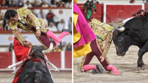 Korrida yarışında matador ağır yaralandı - VİDEO