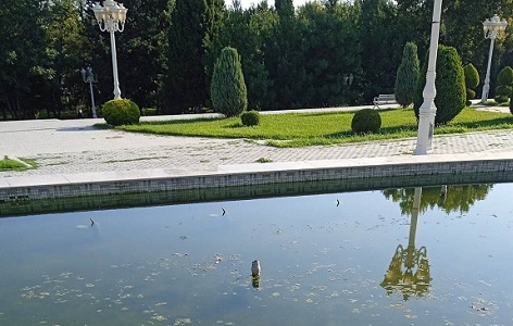 Bərdədə Heydər Parkında hovuzlar üfunət qoxuyur - FOTOLAR