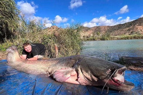 İspaniyada məktəbli tutduğu naqqa balığı ilə rekord qırdı - FOTO