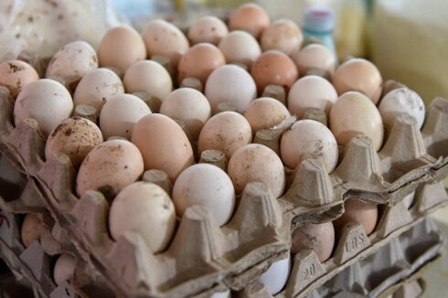 Azərbaycan Rusiyaya 3,6 milyon yumurta satdı
