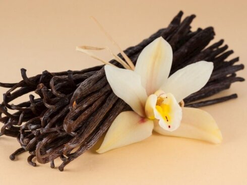 Vanil bitkisinin faydaları:
