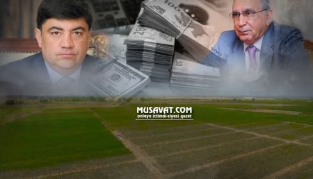 Ramiz Mehdiyevin kürəkəni Şabranda 52 hektar torpağı ələ keçirdi –