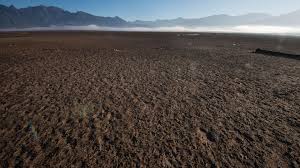 Yerin ən isti səhrasının altında gizli ekosistem aşkar edilib