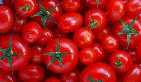 Pomidorun qiyməti mayda “üz qızardır” -
