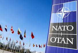 NATO-nun Vaşinqton sammiti… - EKSPERT ŞƏRHİ