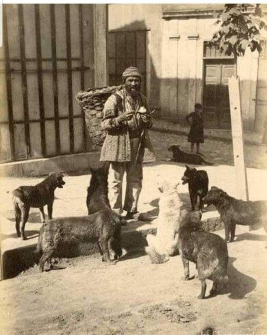 Köpekler İstanbul’un uğurlarıdır,muhafızlarıdır.