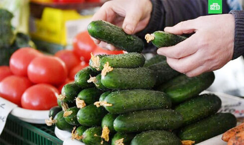 ABŞ-da “salmonella bakteriyası” panikası: İndi xiyar araşdırılır