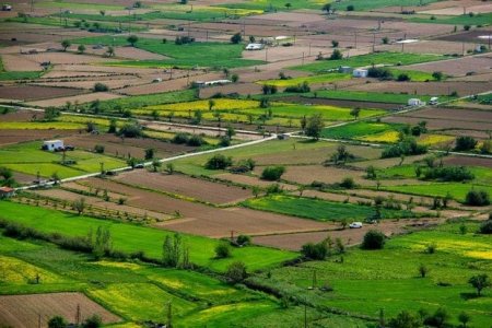 Qazaxda ŞOK QALMAQAL: Torpaq sahələrinə erməni `kupçası` - BU NƏDİ BELƏ?..