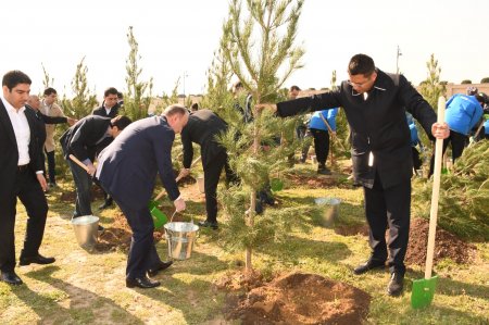 ﻿ Bakıda növbəti ağacəkmə aksiyası və iməclik keçirilib - FOTO