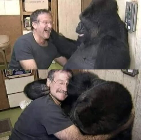 Robin Williams ve Koko: Olağanüstü Bir Dostluk