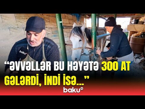 Son illərini yaşayan qədim sənət: "Əvvəllər həyətimizə 200-300 at gələrdi"